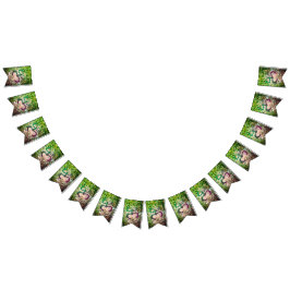 タイノコキフロッグ旗 バンティングフラッグ