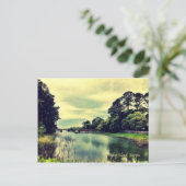 タイビーアイランドバックリバーズ&クリークス ポストカード (スタンド正面)