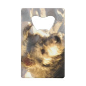 タイビーチドッグ クレジットカード栓抜き (正面)