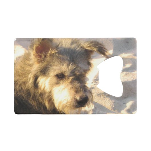 タイビーチドッグ クレジットカード栓抜き (正面(横))