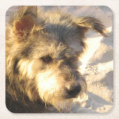 タイビーチドッグ スクエアペーパーコースター (正面)