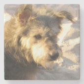 タイビーチドッグ ストーンコースター (正面)