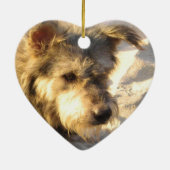 タイビーチドッグ セラミックオーナメント (裏面)