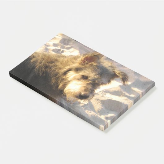 タイビーチドッグ ポストイット (アングル)