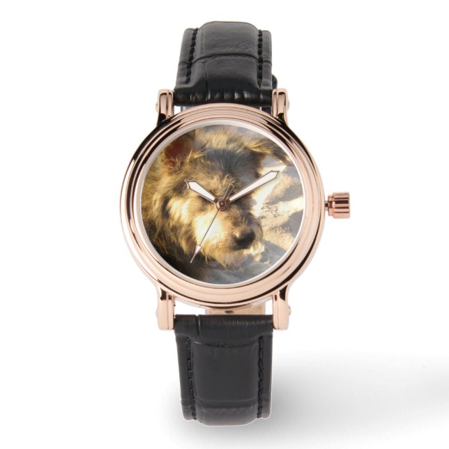 タイビーチドッグ 腕時計 (正面)