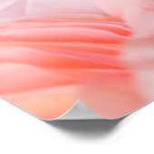 タイピンクフローラ ポスター (角)