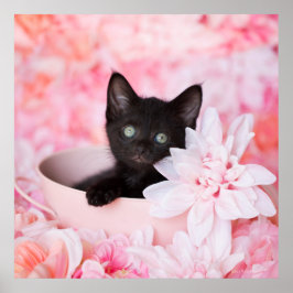 タイピンクフローラ ポスター