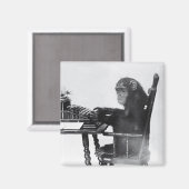 タイピングモンキー マグネット (正面/裏面)