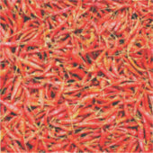 タイピーマン シール (正面)