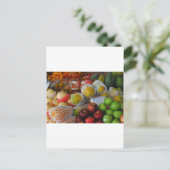 タイフルーツ ポストカード (スタンド正面)