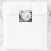 タイフーン・カイタック スクエアシール (バッグ)