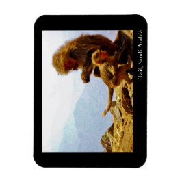 タイフ、サウジアラビア マグネット