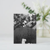 タイプライター葉書 ポストカード (スタンド正面)