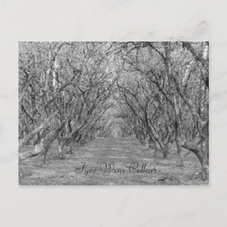 タイヘーゼルナッツ ポストカード