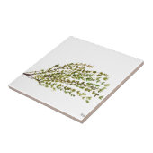 タイムのハーブのキッチンアートの水の色絵画の タイル (側面)