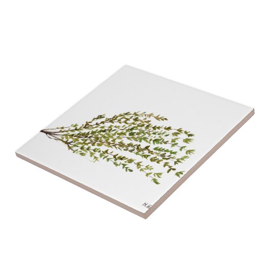 タイムのハーブのキッチンアートの水の色絵画の タイル (側面)