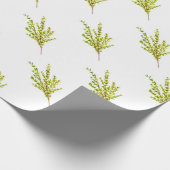 タイムのハーブ植物性のハーブの水の色のキッチン ラッピングペーパー (角)