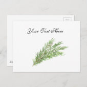 タイムのハーブ植物緑の水色キッチン ポストカード (正面/裏面)