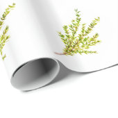 タイムのハーブ ボタニカルアート 水彩画 素朴な雰囲気 ラッピングペーパー (ロールコーナー)