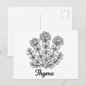 タイムのハーブ 黒と白の植物画 ポストカード (正面/裏面)