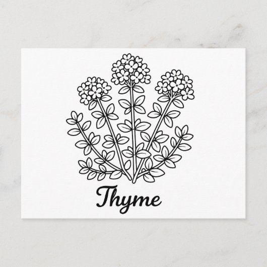 タイムのハーブ 黒と白の植物画 ポストカード (正面)