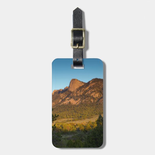 タイムの歯 Philmont Scout Ranch シマロン ラゲッジタグ (正面縦)