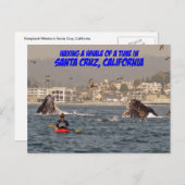 タイムサンタクルーズカリフォルニア葉書のホエールオブザタイムサンタクルーズ ポストカード (正面/裏面)