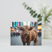 タイムズスクエアのハイランド牛 シーズンポストカード (スタンド正面)