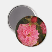 タイムズ過去 マグネット (正面/裏面)