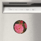 タイムズ過去 マグネット (インサイチュ (食洗機))