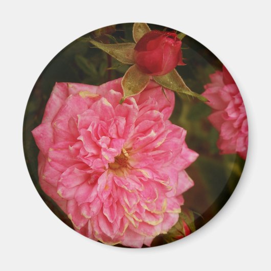 タイムズ過去 マグネット (正面)