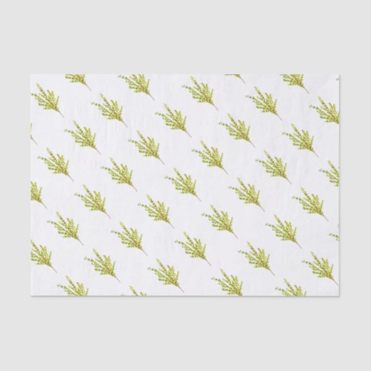 タイムハーブ植物植物水彩グリーン 薄葉紙 (正面)