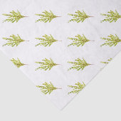 タイムハーブ植物植物水彩グリーン 薄葉紙 (詳細)