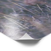 タイムパヌクス大草原チキン フォトプリント            (角)