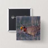 タイムパヌクス大草原チキン 缶バッジ (正面&裏面)