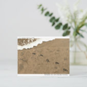 タイムフットプリント… ポストカード (スタンド正面)