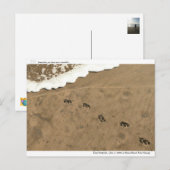 タイムフットプリント… ポストカード (正面/裏面)