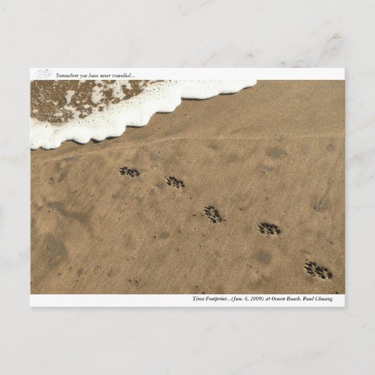 タイムフットプリント… ポストカード (正面)