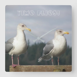 タイムフライがシーグルの写真をポーズ スクエア壁時計