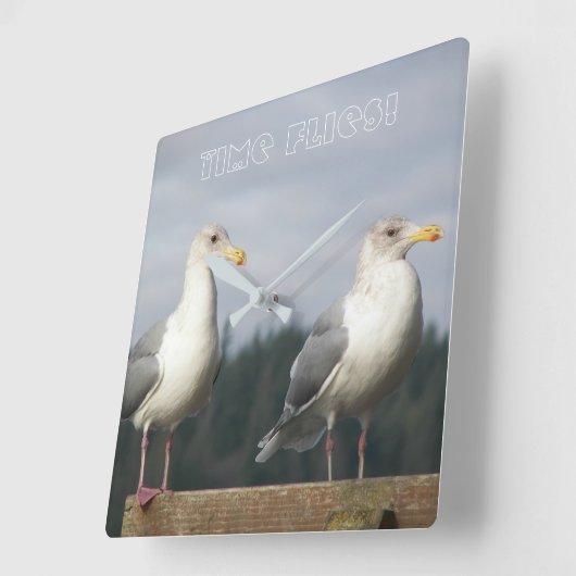 タイムフライがシーグルの写真をポーズ スクエア壁時計 (傾斜)