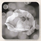 タイムレスエレガンスコースター コースター (正面)