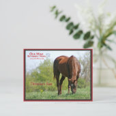 タイムレス使用はがき ポストカード (スタンド正面)