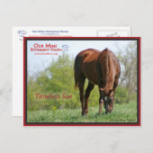 タイムレス使用はがき ポストカード (正面/裏面)