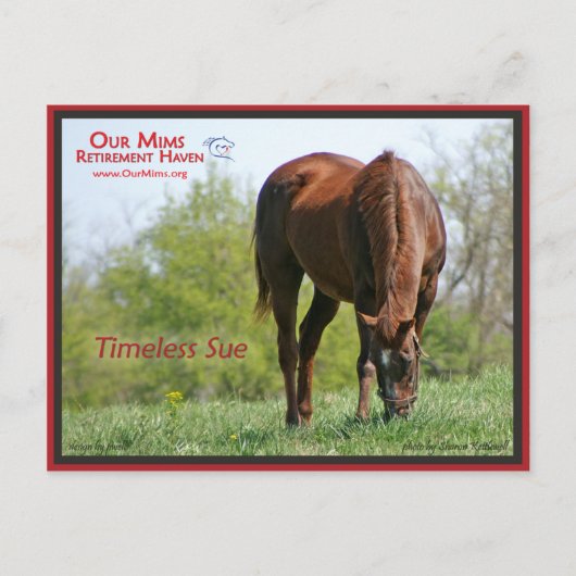 タイムレス使用はがき ポストカード (正面)