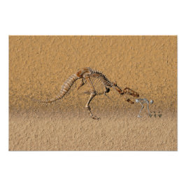 タイムワープ化石 フォトプリント           