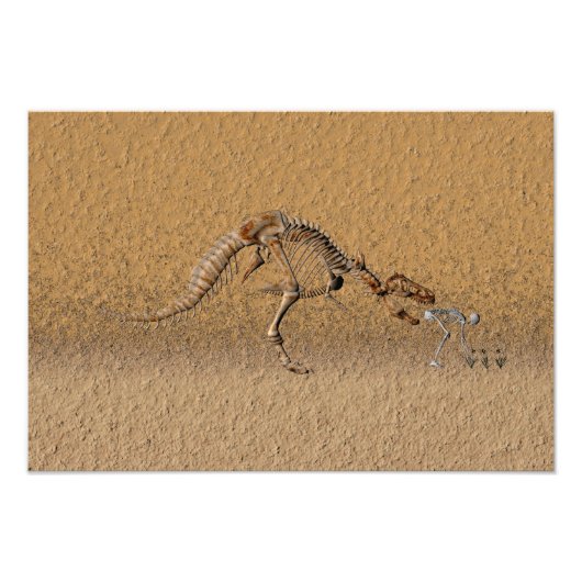 タイムワープ化石 フォトプリント            (正面)