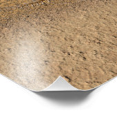 タイムワープ化石 フォトプリント            (角)