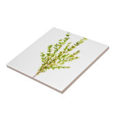 タイム植物薬草 タイル (側面)