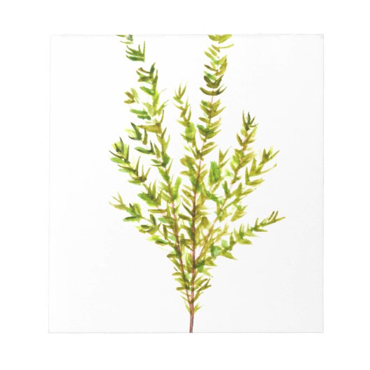 タイム植物薬草 ノートパッド (正面)