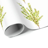 タイム植物薬草 ラッピングペーパー (ロールコーナー)